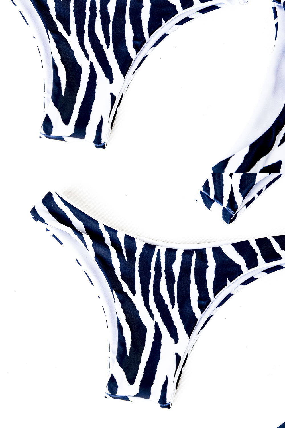 Bottom Sugarbloom Zebra